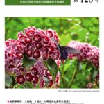 しんかんきょう　平成25年8月　第128号