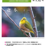 しんかんきょう　平成27年1月　第132号