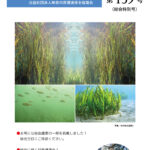しんかんきょう　平成29年4月　第139号