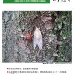 しんかんきょう　平成30年7月　第142号