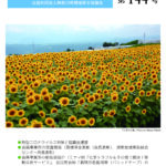 しんかんきょう　令和2年8月　第144号